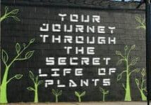 John-Fekner-Journey-through-the-Secret-Life-of-Plants-NY-photo-via-adhockart-org
